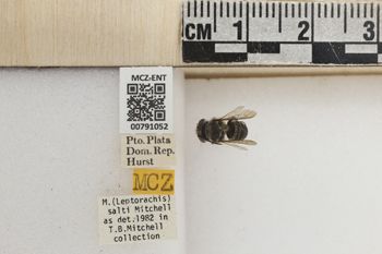 Media type: image;   Entomology 791052 Aspect: Labels
